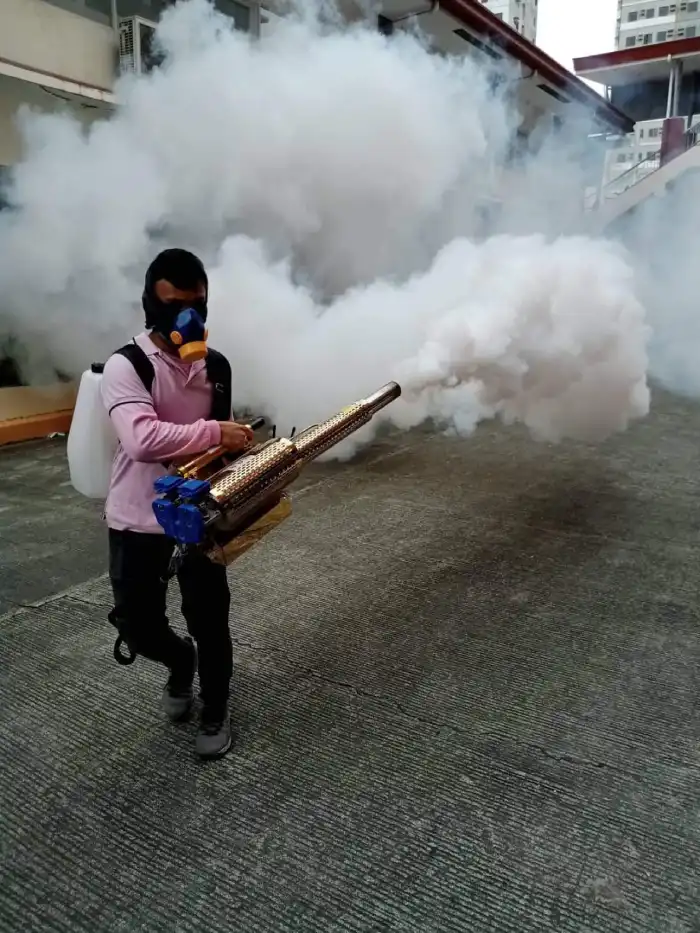 Affordable Pest Control Services in Manila