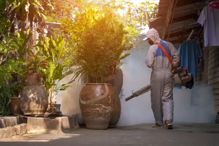 Fumigation in Manila