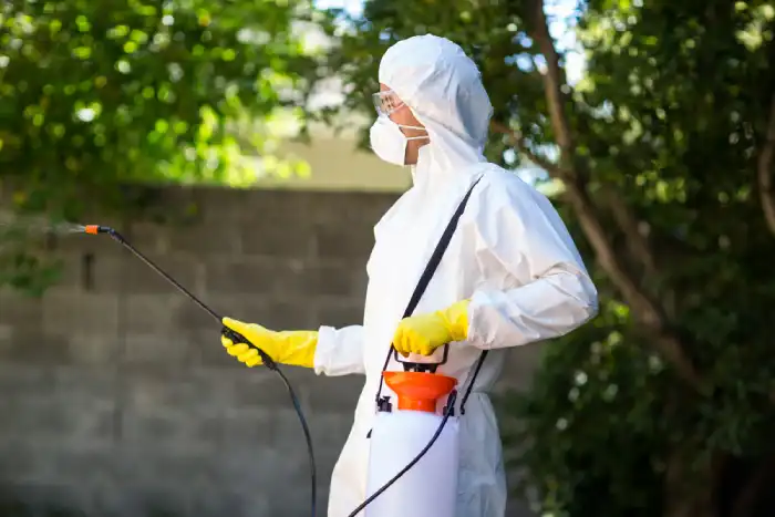 Vermin and Insects Control in Manila