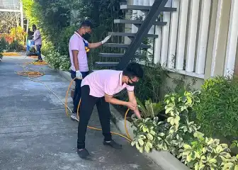 Residential Pest Control in Manila