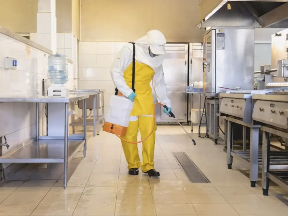 Discover why regular Pest Control in Makati is essential for restaurants. Learn scheduling tips, benefits, and how MR Pest Control helps you maintain a clean and pest-free dining environment.

