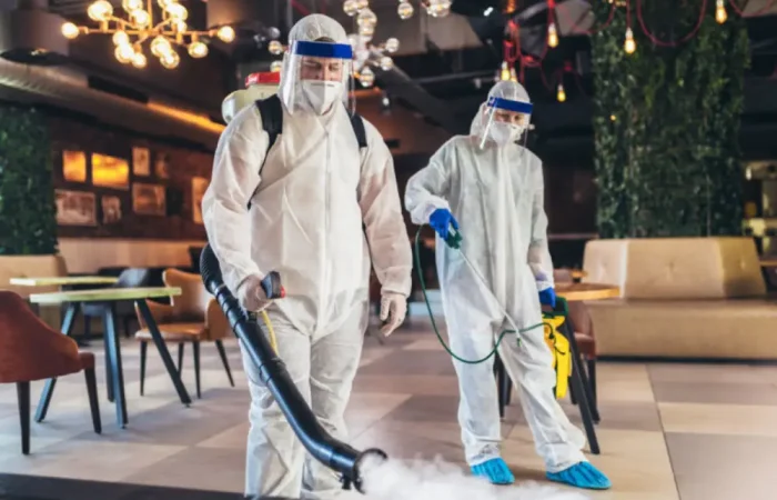 Protecting Your Restaurant with Pest Control in Makati: Scheduling Tips 1 Protecting Your Restaurant with Pest Control in Makati: Scheduling Tips